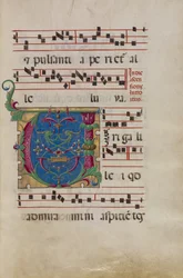 Verzierte Initiale V